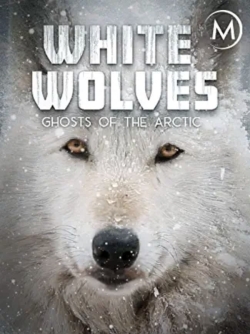 Белые волки: призраки Арктики