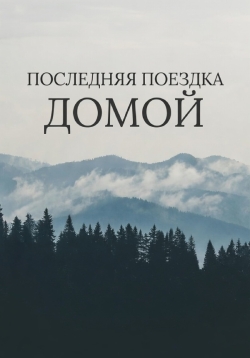 Последняя поездка домой