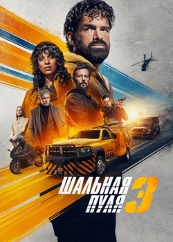 Шальная пуля 3