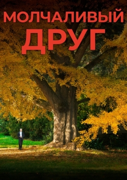 Молчаливый друг