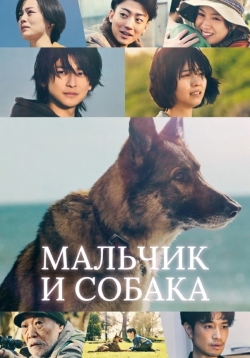 Мальчик и собака