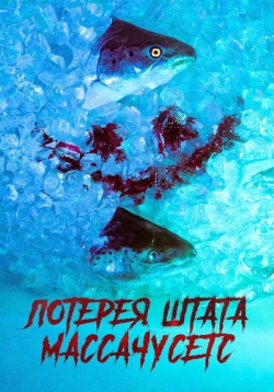 Лотерея штата Массачусетс