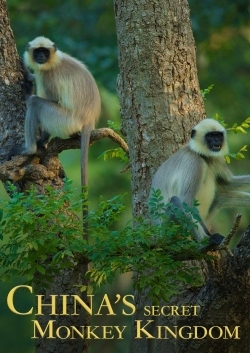 Тайное обезьянье царство в Китае