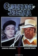 Северная звезда