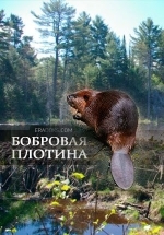 National Geographic: Бобровая плотина