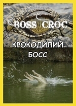 Крокодилий босс