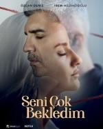 Я так долго ждал тебя