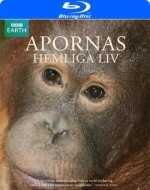 Тайная жизнь приматов