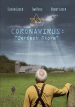 Коронавирус: Идеальный шторм