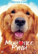Мой пёс Руни
