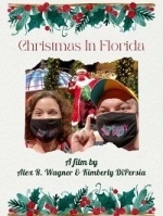 Рождество во Флориде