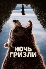 Ночь гризли