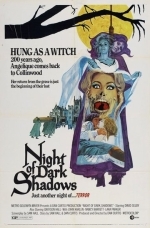 Ночь тёмных теней