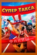 Шелли снова в деле