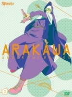 Под мостом над Аракавой