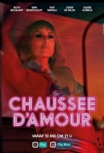 Кошечки Сильвии