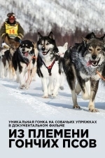 Из племени гончих псов