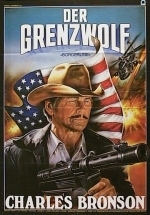 Пограничная полоса