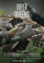 Королевы гадюк