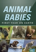 Малыши в дикой природе первый год на земле