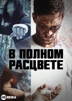 В полном расцвете