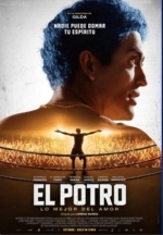 Эль Потро, рожденный любить