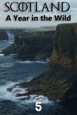 Шотландия: Дикий год