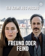 Детектив из Пассау. Фильм 1-й: Друг или враг