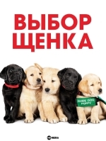 Выбор щенка