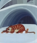 Бабочка и тигр