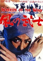 Воин из ветра