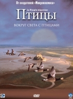 Птицы