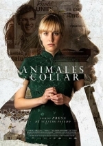 Животные без ошейника