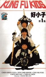 Мальчишки-кунгфуисты